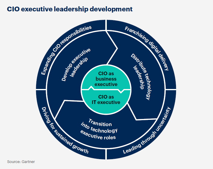 CIO executive leadership development Transition executive roles into technology